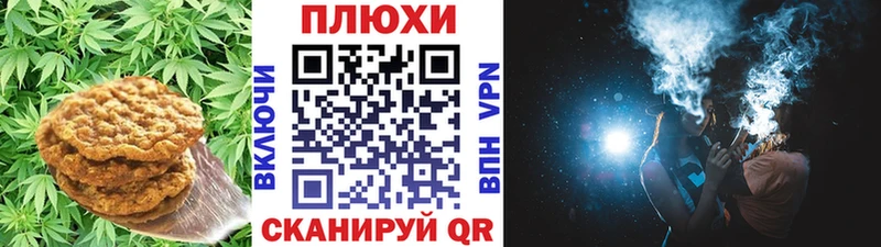 Купить где  Хвалынск  Canna-Cookies конопля 