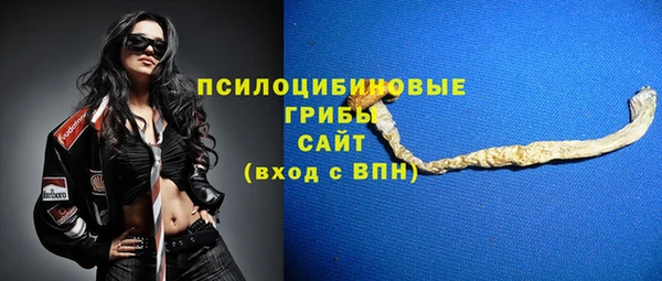 хмурый Сосновоборск